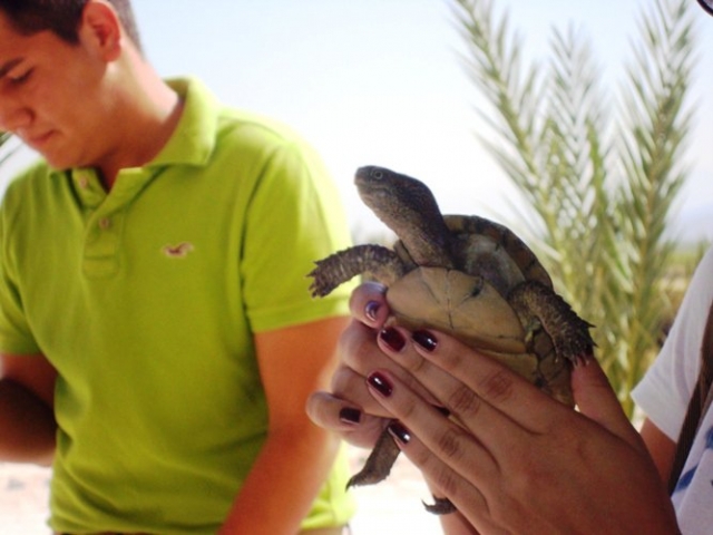 Santuario de tortugas